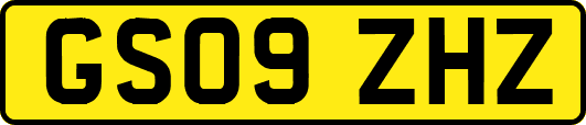 GS09ZHZ