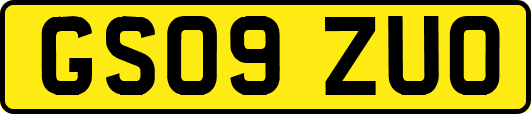 GS09ZUO