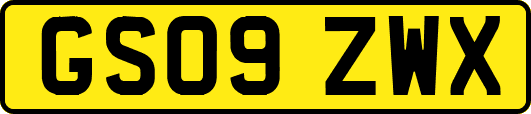 GS09ZWX