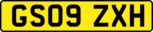 GS09ZXH