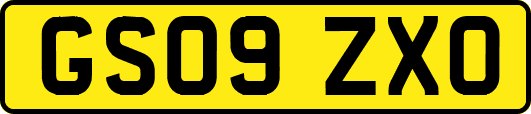 GS09ZXO