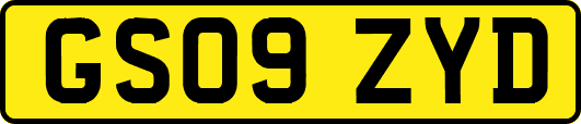 GS09ZYD