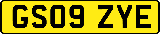 GS09ZYE