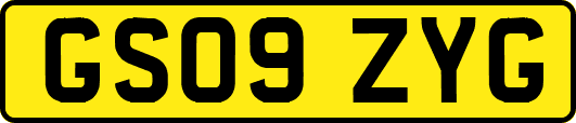 GS09ZYG