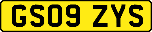 GS09ZYS