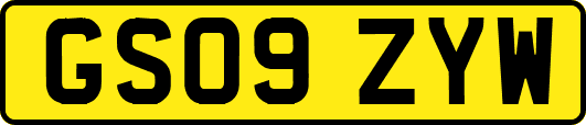 GS09ZYW