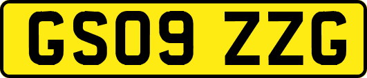 GS09ZZG
