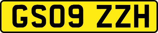 GS09ZZH