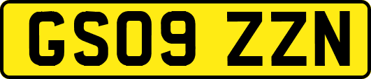 GS09ZZN
