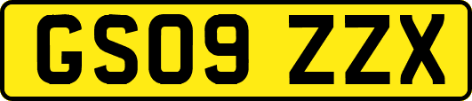 GS09ZZX