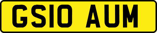 GS10AUM