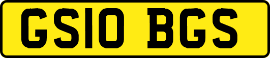 GS10BGS