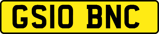 GS10BNC