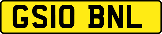 GS10BNL