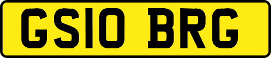 GS10BRG