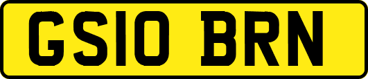 GS10BRN