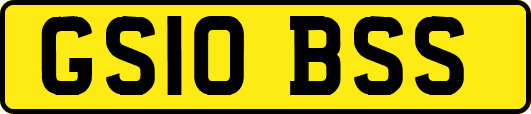 GS10BSS