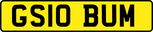 GS10BUM