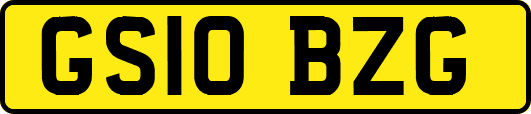 GS10BZG
