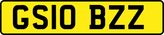 GS10BZZ