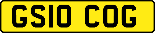 GS10COG