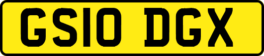 GS10DGX