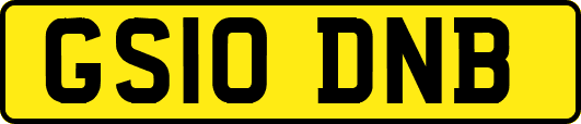 GS10DNB