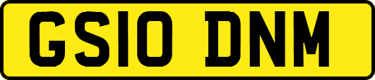 GS10DNM