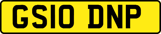 GS10DNP