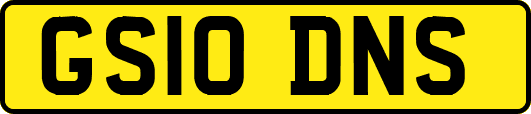 GS10DNS