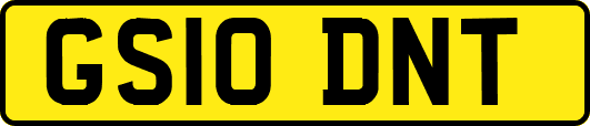 GS10DNT