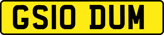 GS10DUM