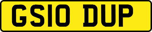 GS10DUP