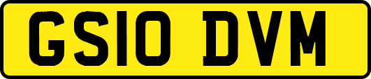 GS10DVM