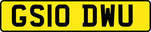 GS10DWU