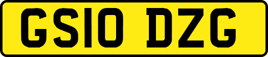 GS10DZG