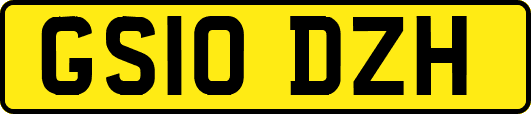 GS10DZH