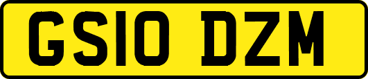 GS10DZM