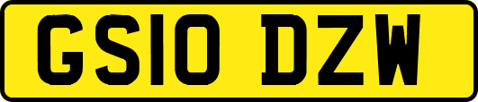 GS10DZW