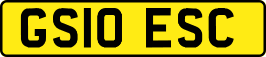GS10ESC