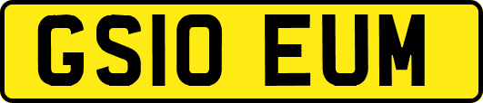 GS10EUM