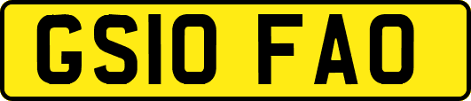 GS10FAO