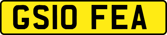 GS10FEA