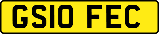 GS10FEC
