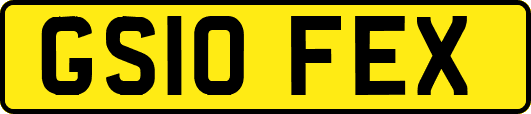 GS10FEX