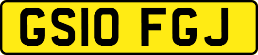 GS10FGJ