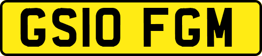 GS10FGM