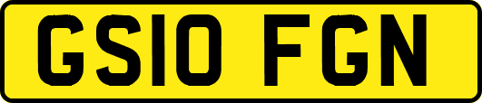 GS10FGN
