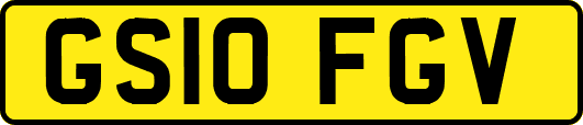 GS10FGV