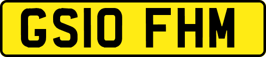 GS10FHM